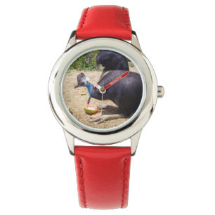 Cassowary Bird Enjoying Melons, Watch