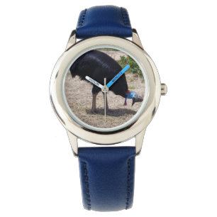 Cassowary Bird Looking For Tasty Bugs, Watch