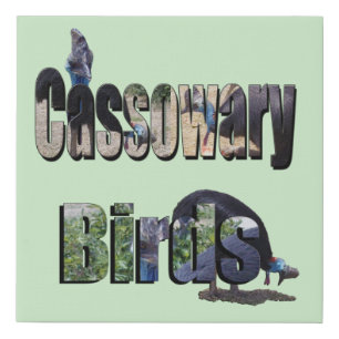 Cassowary Birds Picture Name, Faux Canvas Print