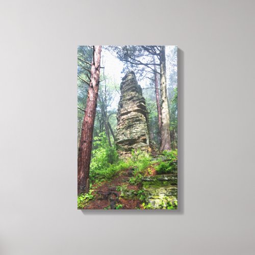 Castellated Mound in State Forest Canvas Print