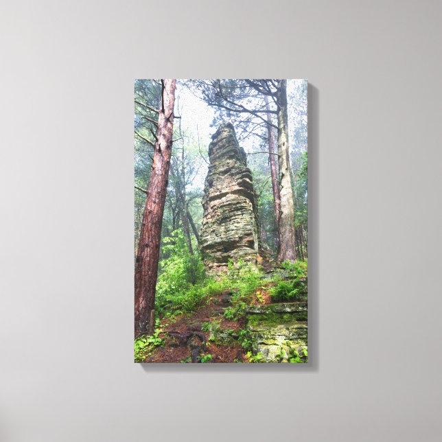 Castellated Mound in State Forest Canvas Print (Front)