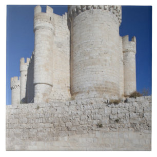 Castillo Penafiel, contains Wine Museum Tile