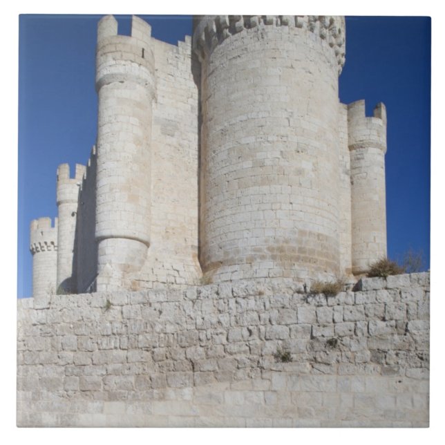 Castillo Penafiel, contains Wine Museum Tile (Front)