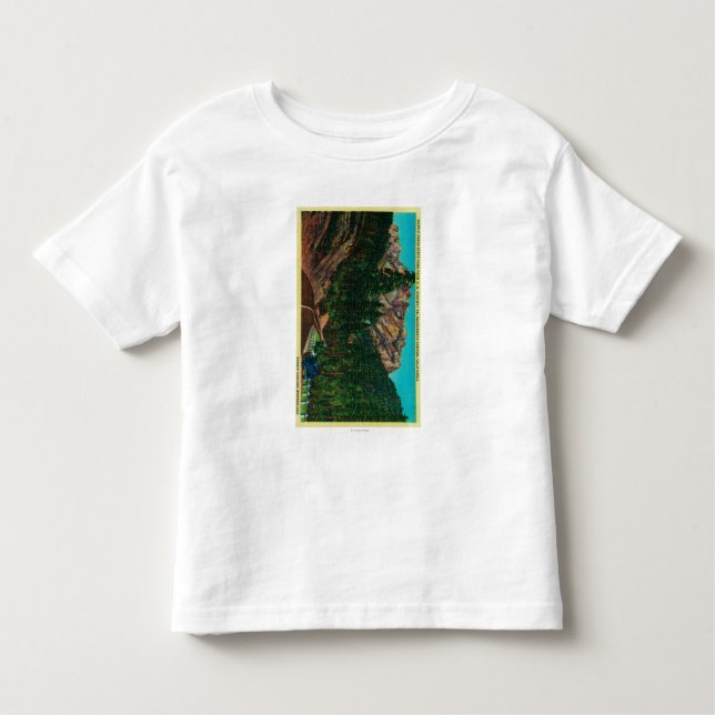 Castle Crags State Park from US 99 Toddler T-shirt (Front)