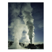 Castle Geyser ,Yellowstone National Park Postcard