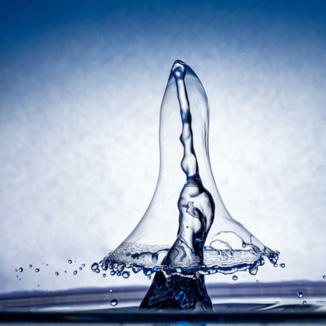 Castle in a Teacup – A Fantasy World in Miniature Poster (Creator Uploaded)