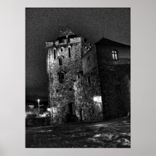 Castle in Bergen Poster