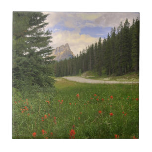 Castle Mountain Banff Tile