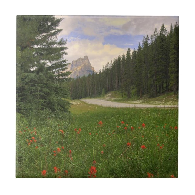 Castle Mountain Banff Tile (Front)