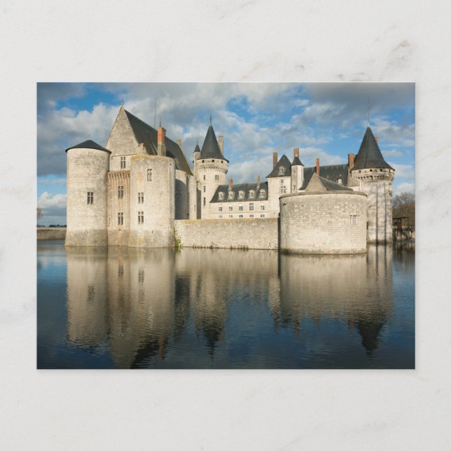 Castle of Sully sur Loire Postcard (Front)