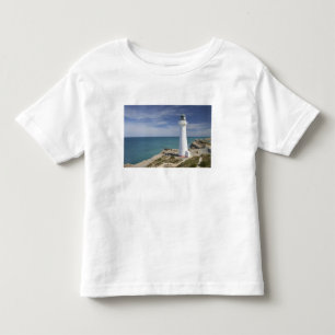 Castle Point Lighthouse, Castlepoint, Wairarapa, Toddler T-shirt