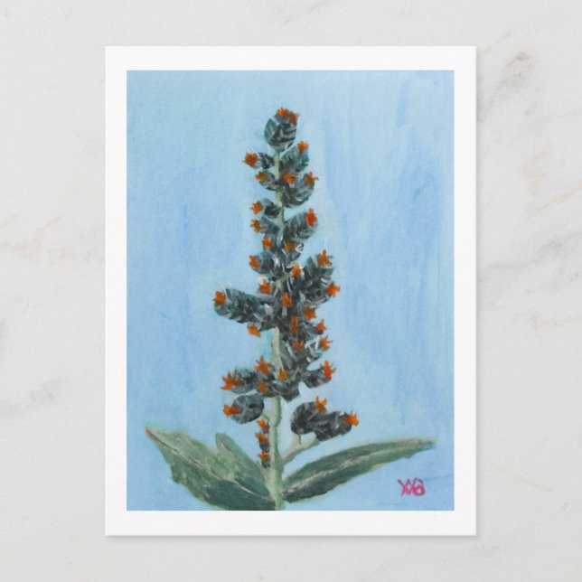 Castor Bean Plant Postcard (Front)