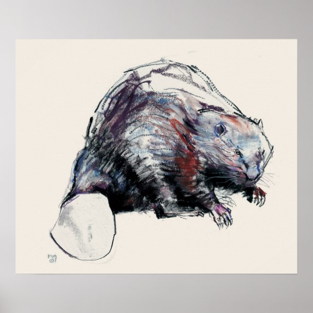 Castor Fiber 2001 Poster (Front)