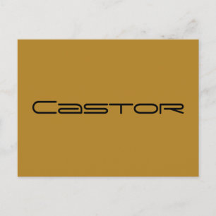 Castor from Orphan black ,geometric font Postcard