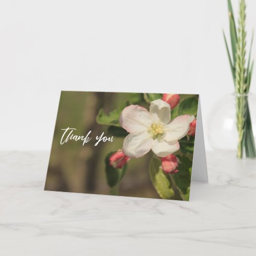 Casual Handwriting Thank You Apple Blossoms Card