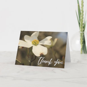 Casual Handwriting Thank You Dogwood Blossom Card