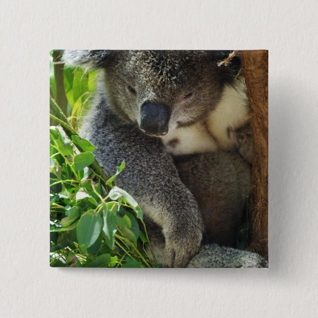 Casual Koala  Button (Front)