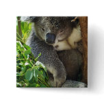Casual Koala  Button