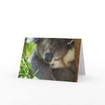 Casual Koala  Greeting Card