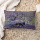 Casual Peacock Lumbar Pillow (Blanket)