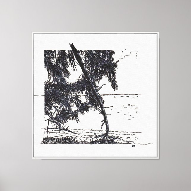 Casuarina Trees Canvas Print (Front)