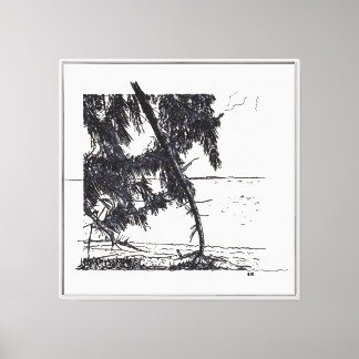Casuarina Trees Canvas Print