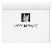 cat (Inside Horizontal (Bottom))