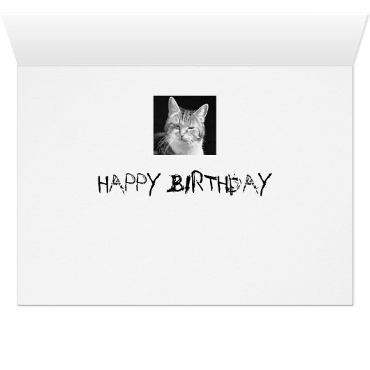 cat (Inside Horizontal (Bottom))