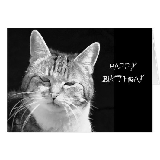 cat (Front Horizontal)