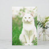 Cat (Standing Front)