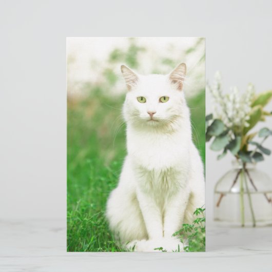 Cat (Standing Front)