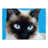 Cat 1 (Front Horizontal)