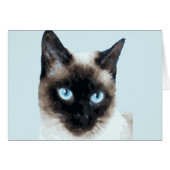 CAT 11 (Front Horizontal)