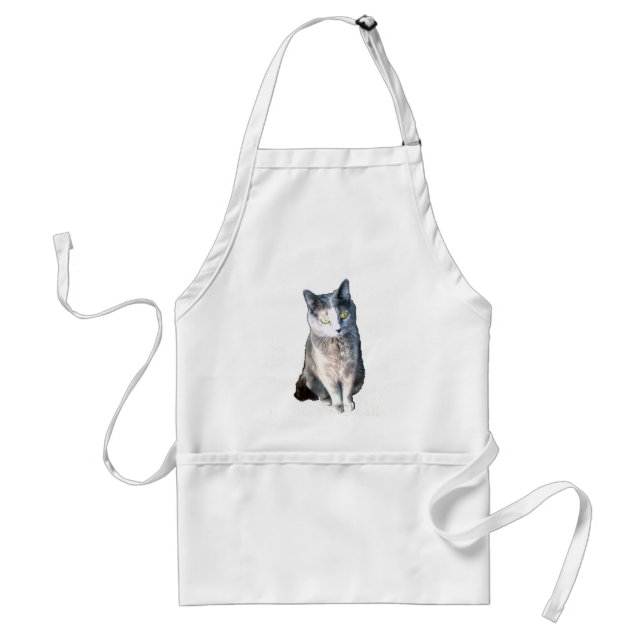 Cat 11, Apron (Front)