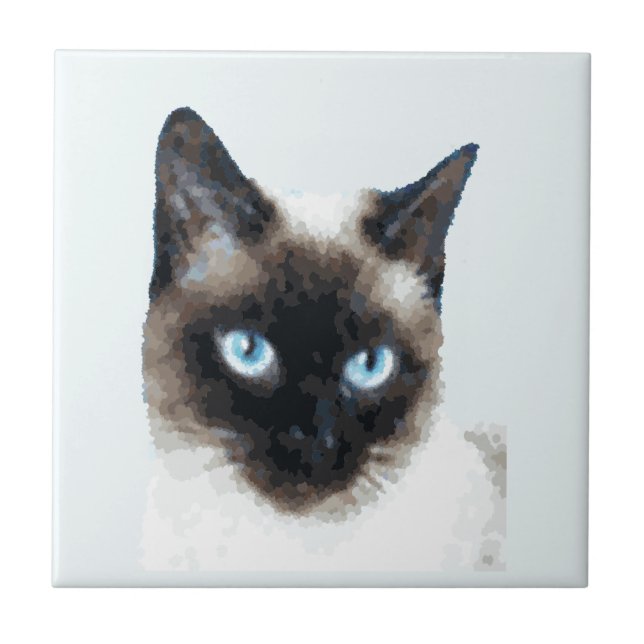 CAT 11 CERAMIC TILE (Front)