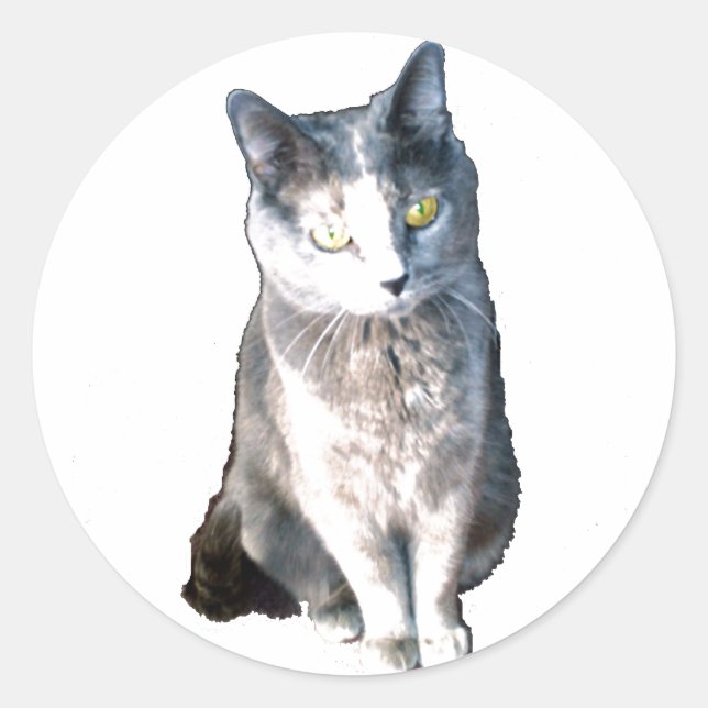 Cat 11  Stickers (Front)