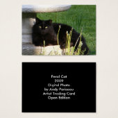 Cat 120 ~ ATC (Front & Back)