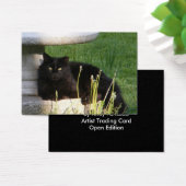 Cat 120 ~ ATC (Desk)