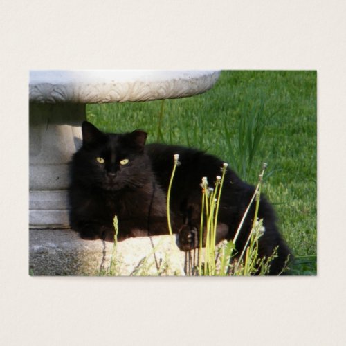 Cat 120 ~ ATC Business Card