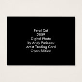 Cat 120 ~ ATC (Back)