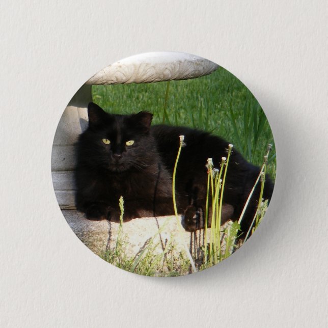 Cat 120 ~ button (Front)