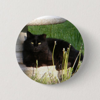 Cat 120 ~ button