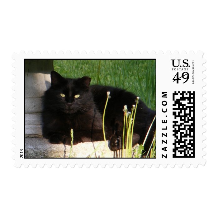 Cat 120 ~ stamp