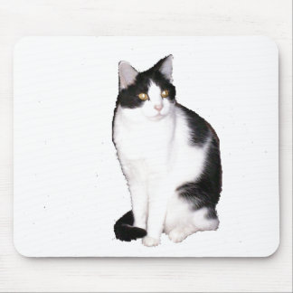 Cat 12, Mouse Pad