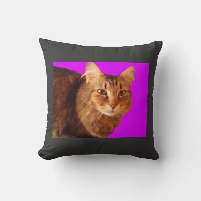 Cat 14 Pillow (Front)