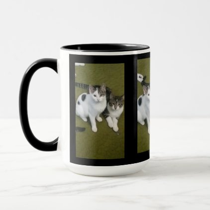 Cat 16oz Combo Mug