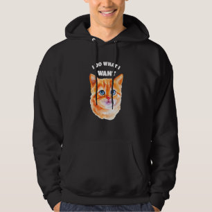 Cat 2022 Retro Cat I Do What I Want Cat 37 Hoodie