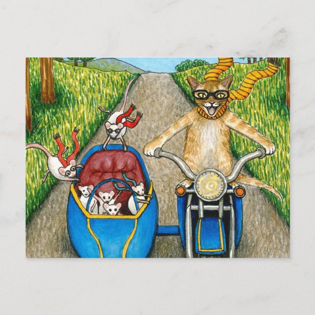 Cat 384 postcard (Front)