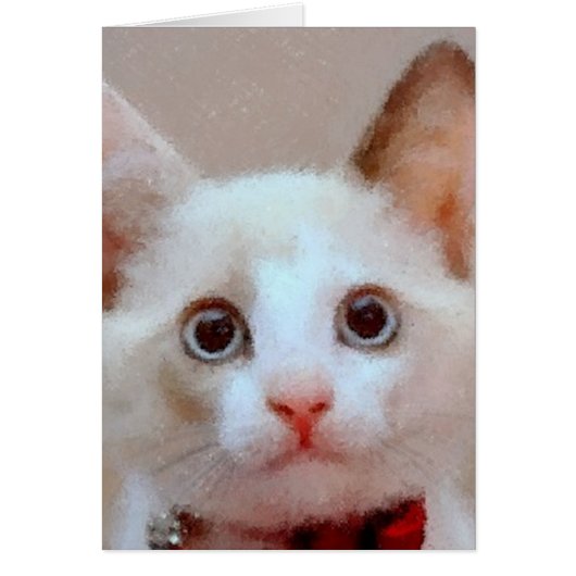 cat 3 cards (Front)