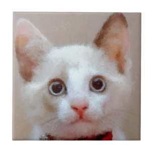 cat 3 ceramic tile
